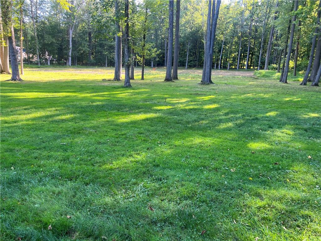 219 Route 9w Property Photo 23