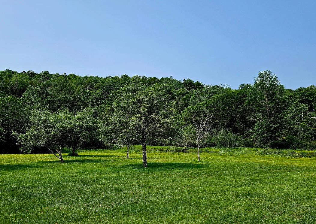 141 Bonnie Brook Road Property Photo 45
