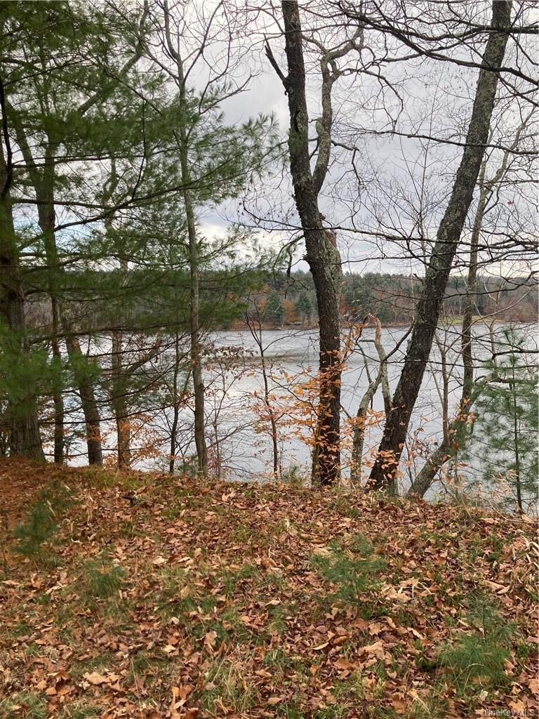 140 Plank Road Property Photo 2