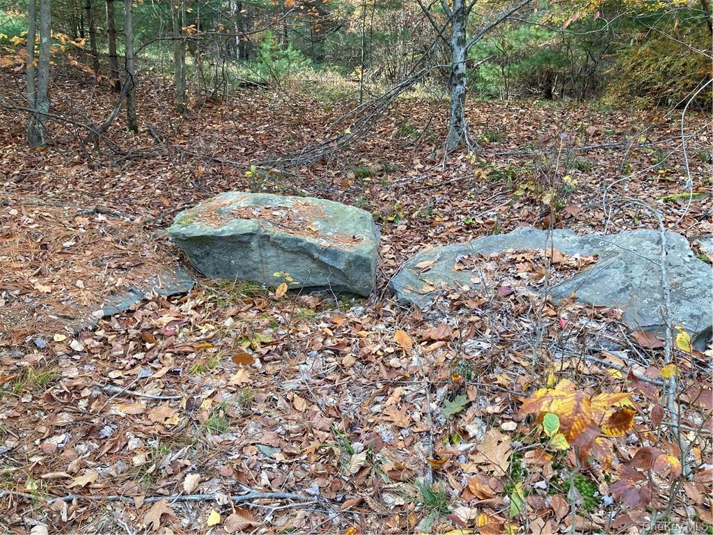 140 Plank Road Property Photo 3
