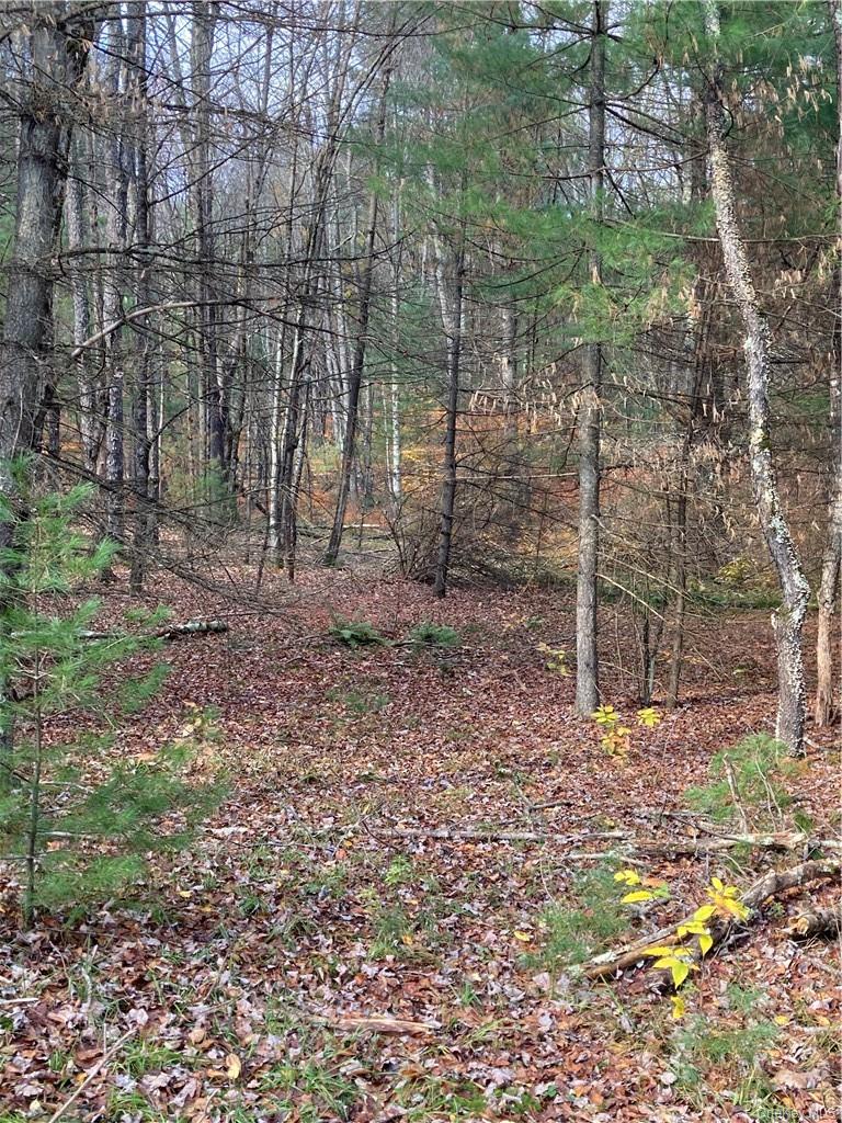 140 Plank Road Property Photo 6