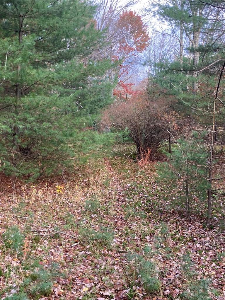140 Plank Road Property Photo 7