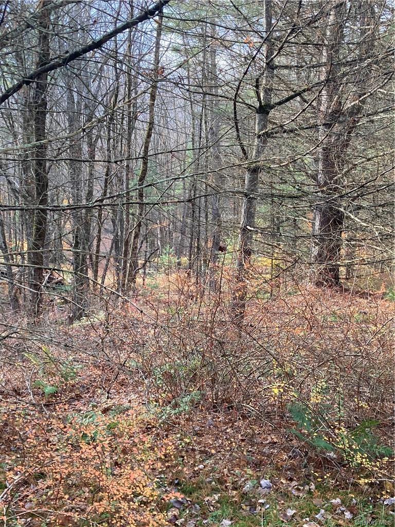140 Plank Road Property Photo 10