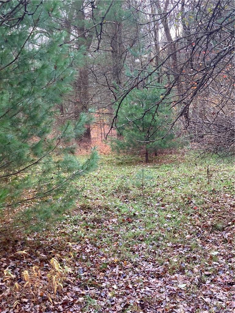 140 Plank Road Property Photo 12