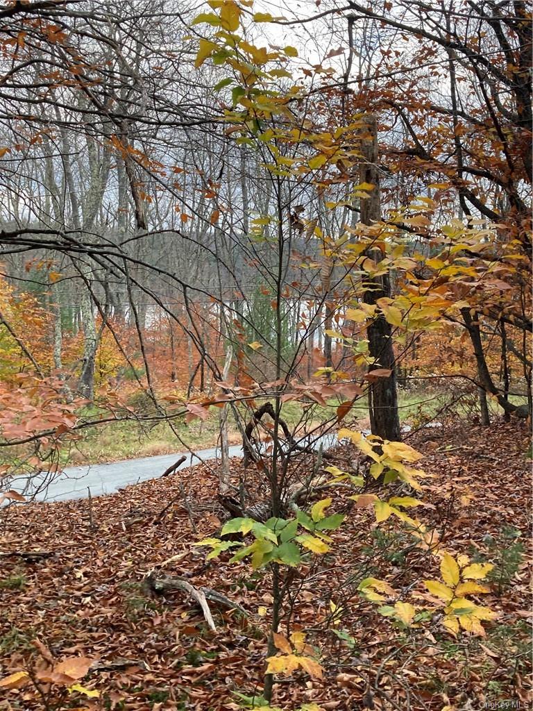 140 Plank Road Property Photo 14