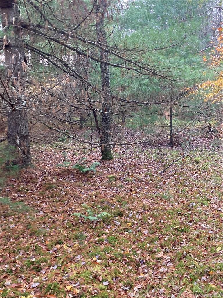 140 Plank Road Property Photo 15