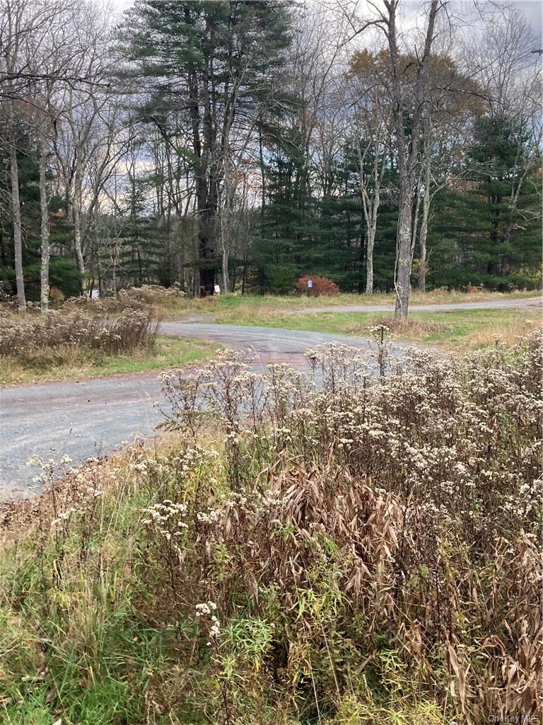140 Plank Road Property Photo 18