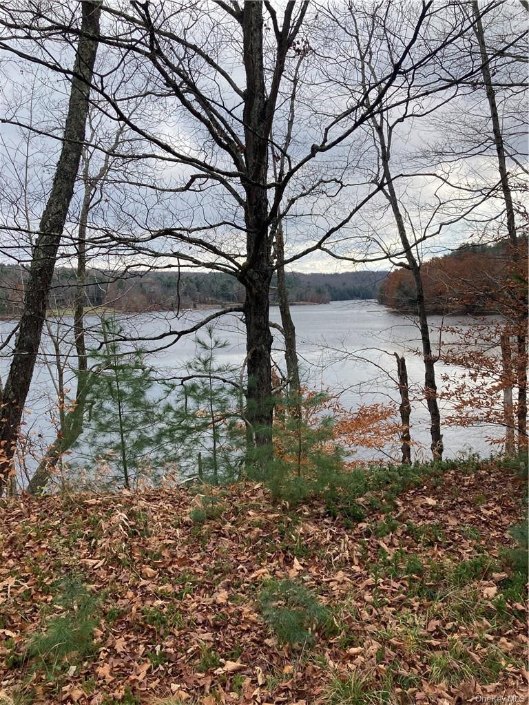 140 Plank Road Property Photo 19