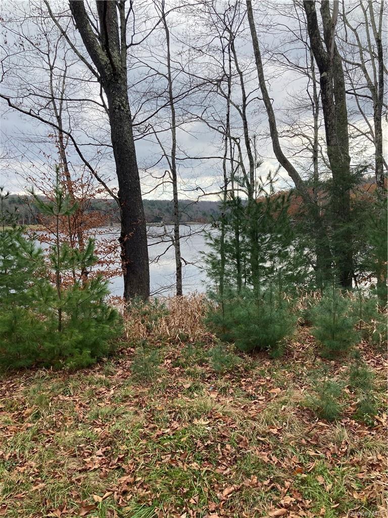 140 Plank Road Property Photo 20