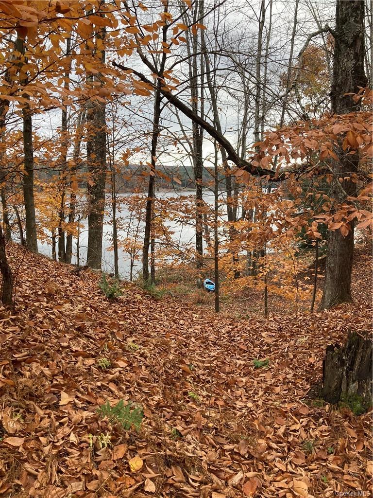 140 Plank Road Property Photo 21