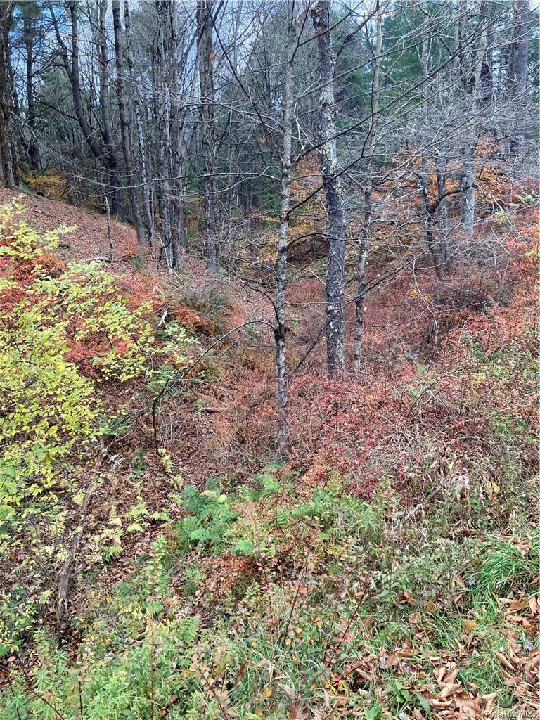 140 Plank Road Property Photo 22