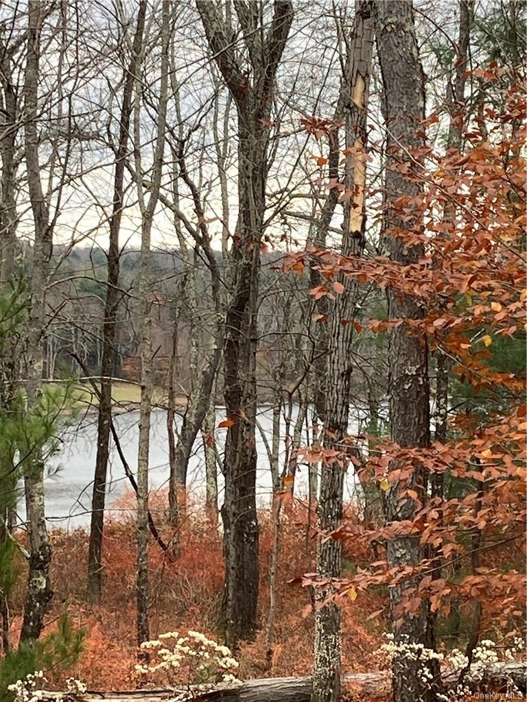 140 Plank Road Property Photo 23