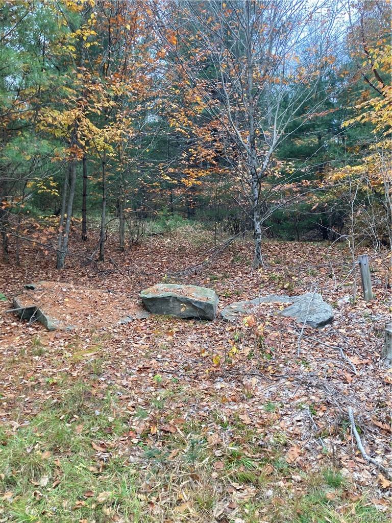 140 Plank Road Property Photo 25