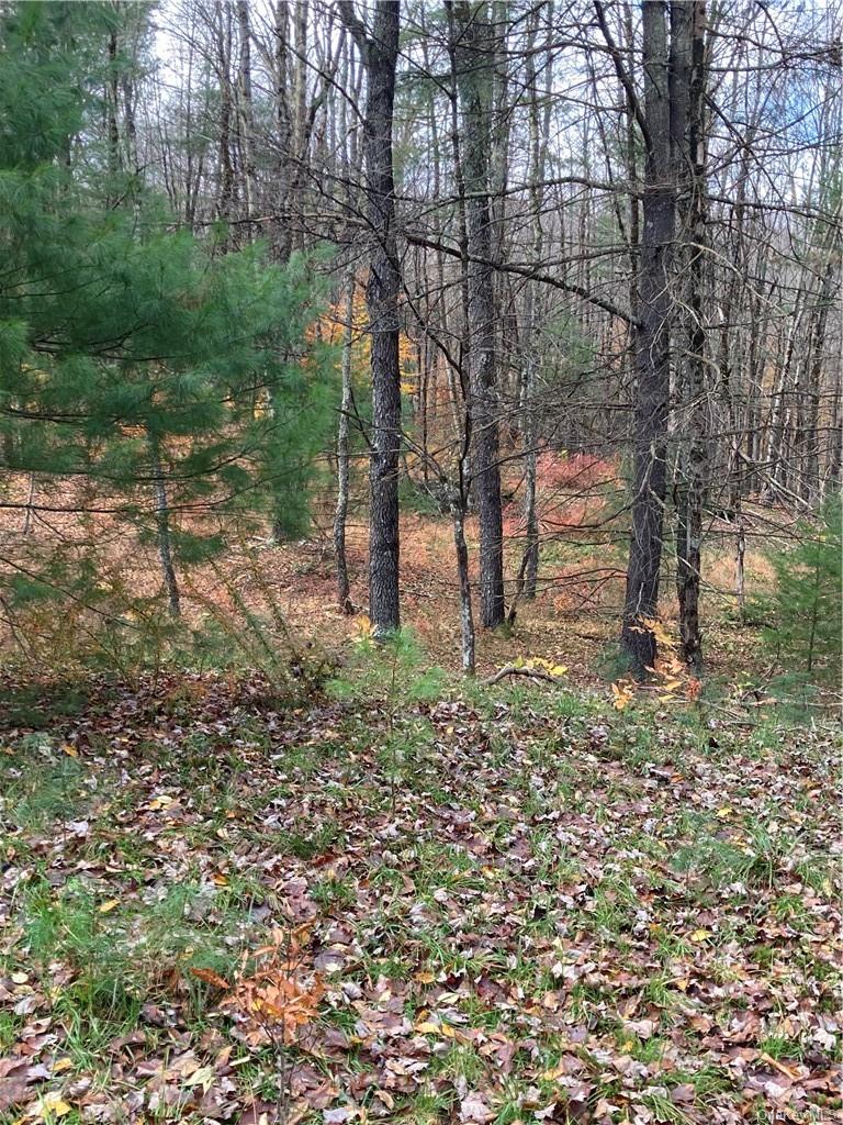 140 Plank Road Property Photo 26