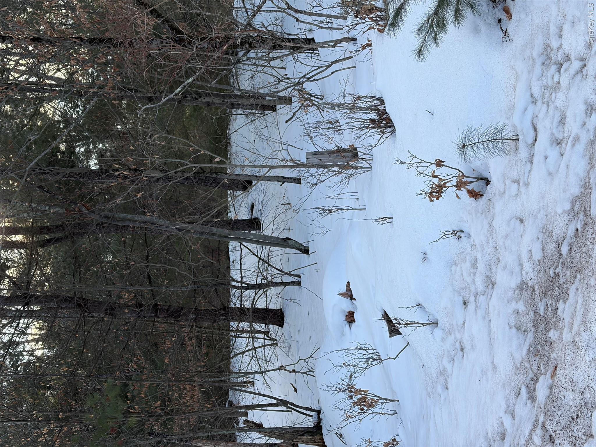 140 Plank Road Property Photo 28