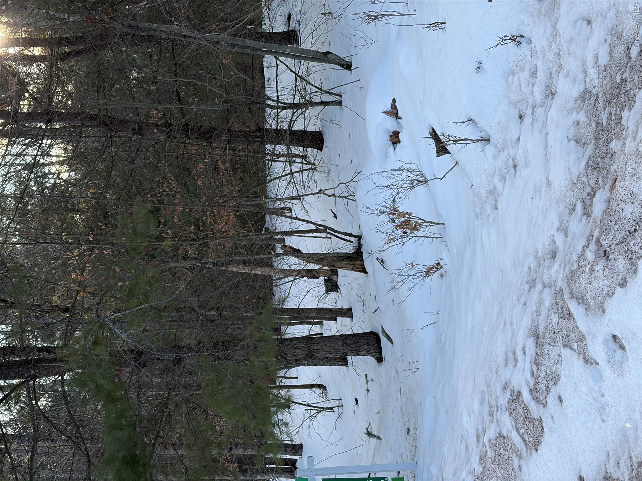 140 Plank Road Property Photo 29