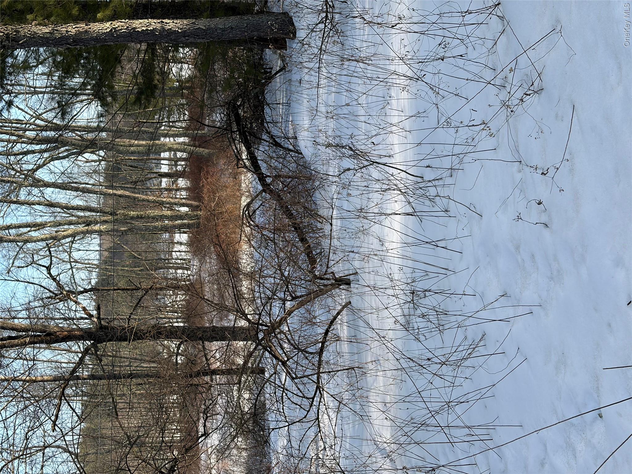 140 Plank Road Property Photo 30