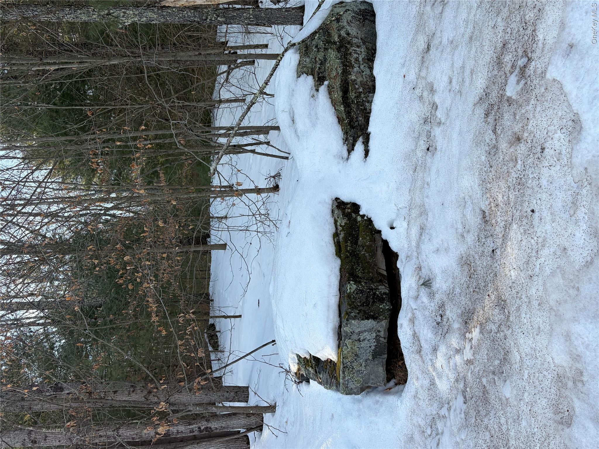 140 Plank Road Property Photo 31