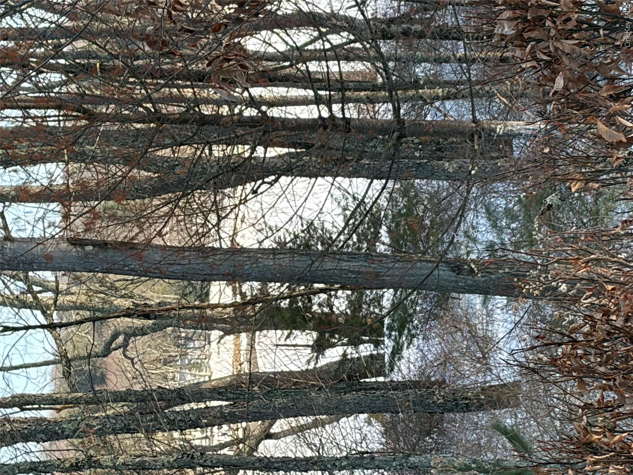 140 Plank Road Property Photo 35
