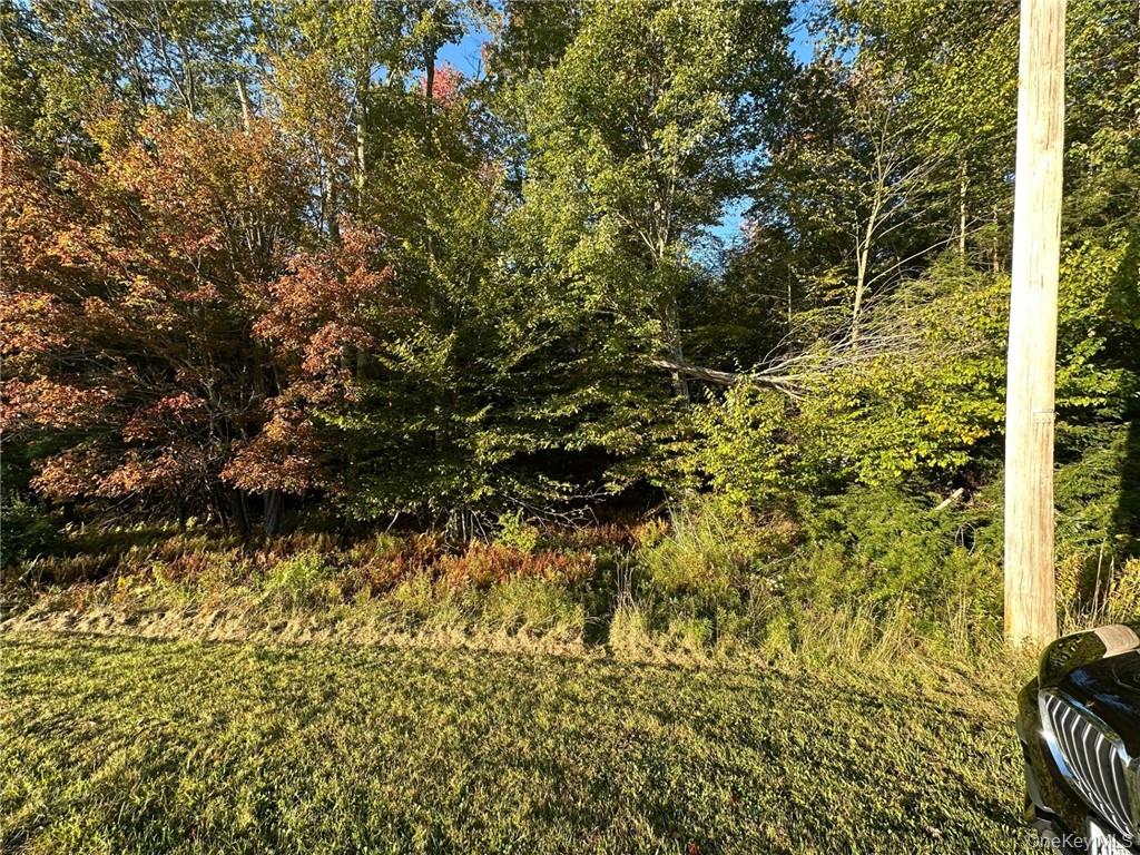 Ulster Heights Road Property Photo 3