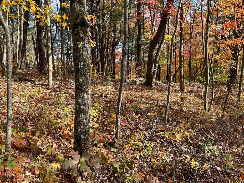 1 W Hill Road Property Photo