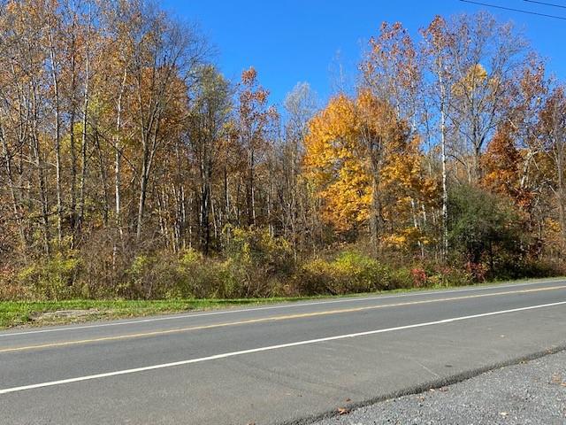 Tbd Route 9w Property Photo 1