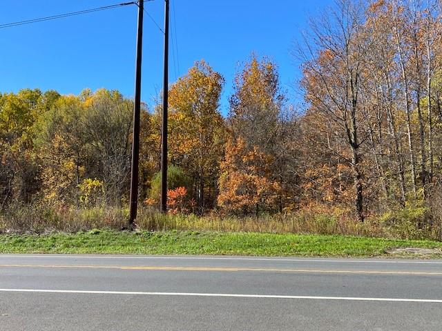 Tbd Route 9w Property Photo 2