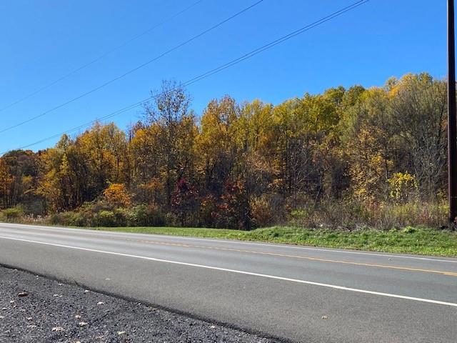 Tbd Route 9w Property Photo 3