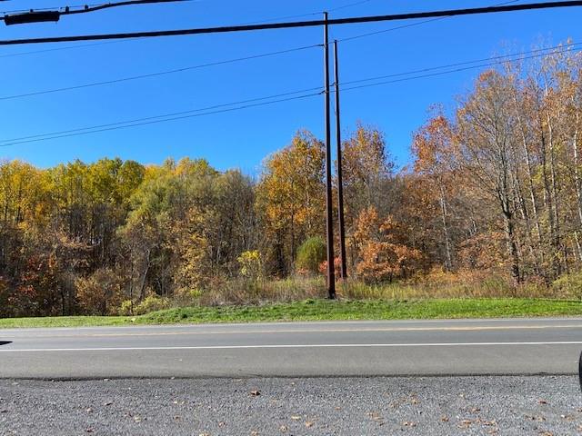Tbd Route 9w Property Photo 8