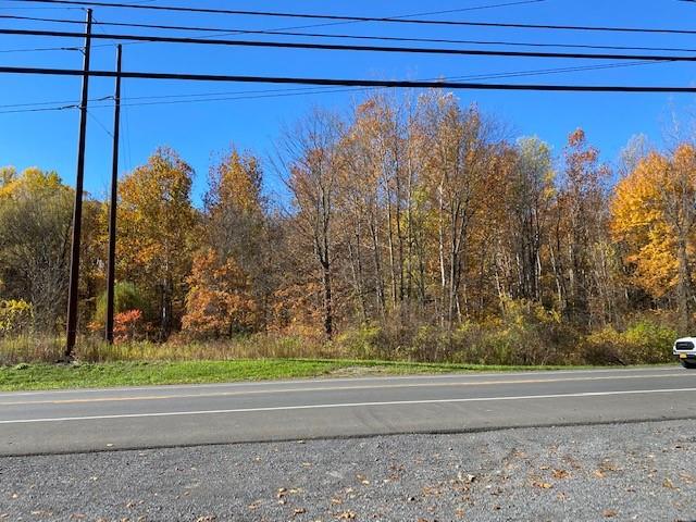 Tbd Route 9w Property Photo 9