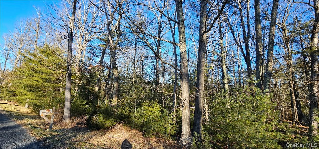 Lot 57.1 Yulan-barryville Road Property Photo 1