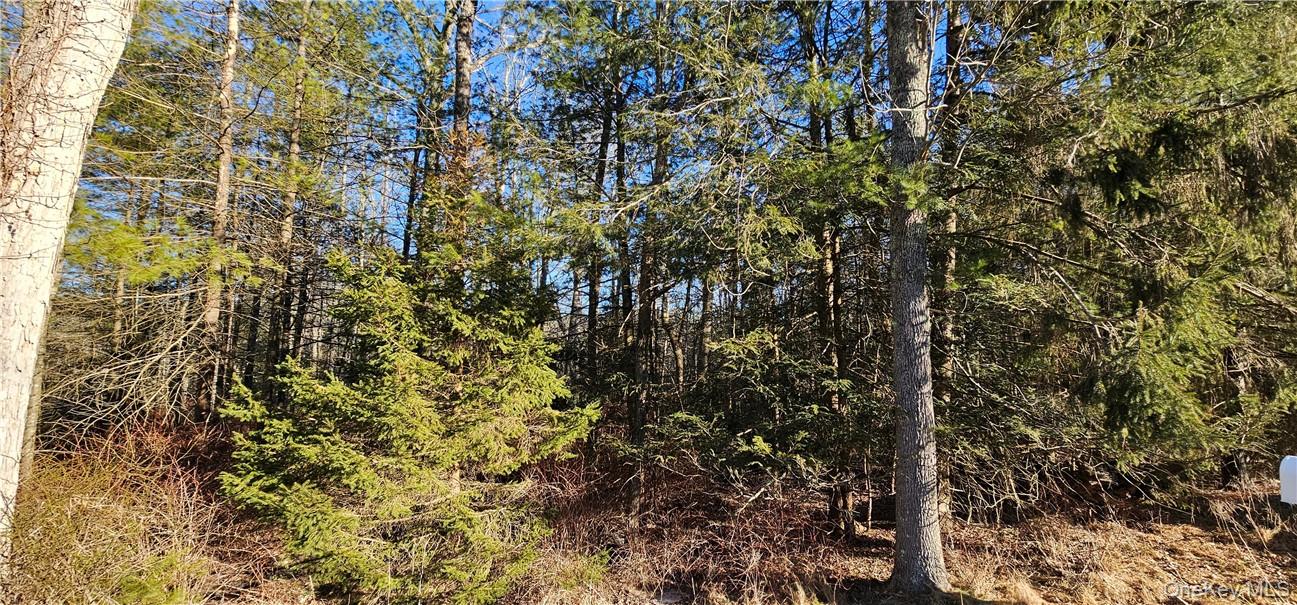 Lot 57.1 Yulan-barryville Road Property Photo 2