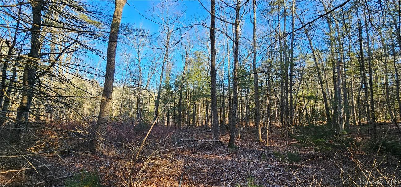 Lot 57.1 Yulan-barryville Road Property Photo 3