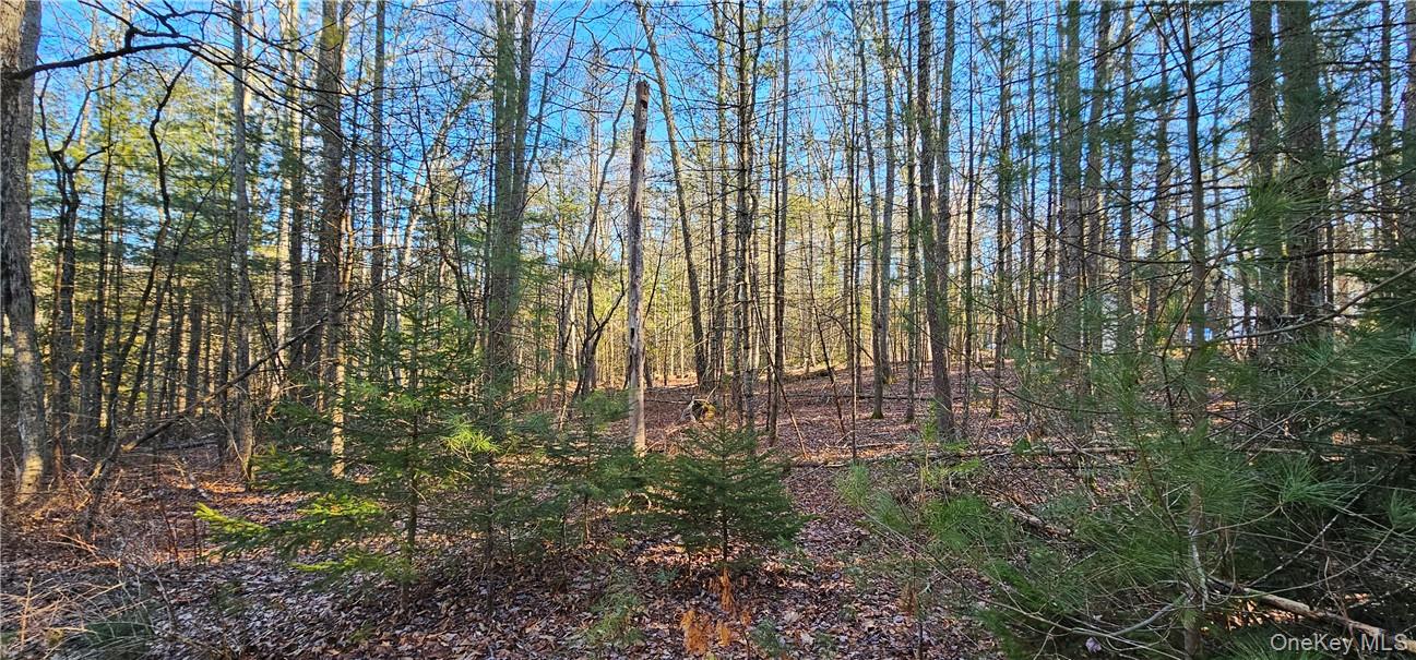 Lot 57.1 Yulan-barryville Road Property Photo 4