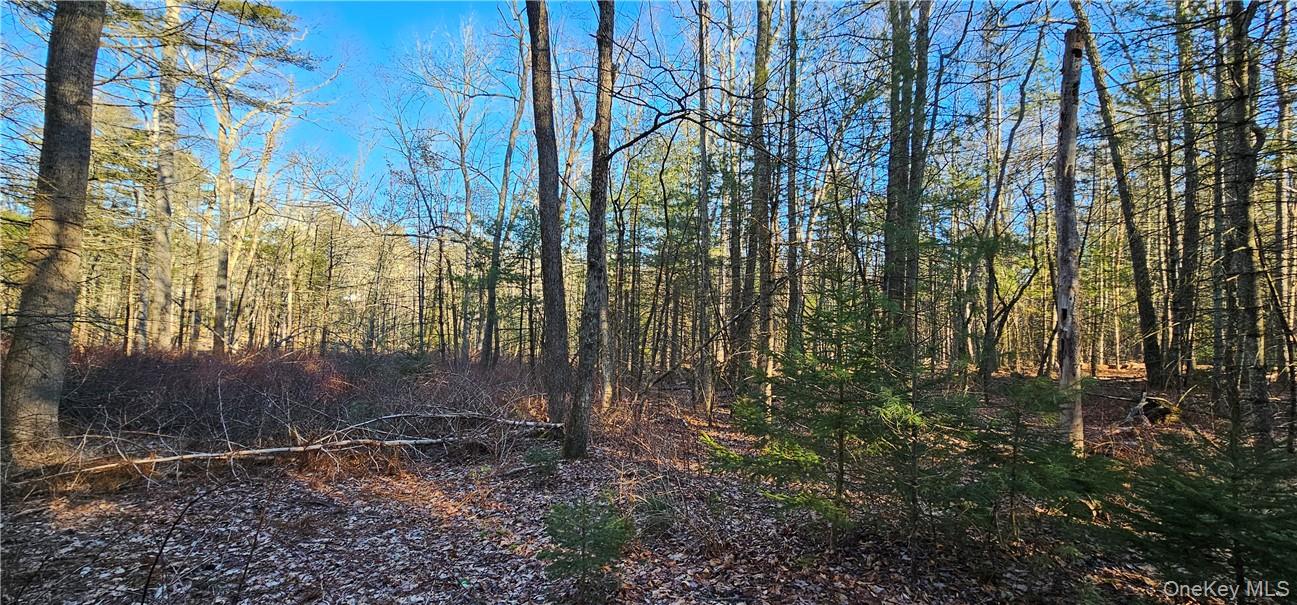 Lot 57.1 Yulan-barryville Road Property Photo 5