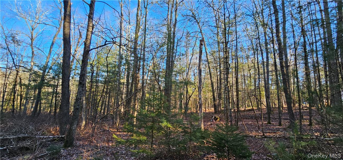 Lot 57.1 Yulan-barryville Road Property Photo 6