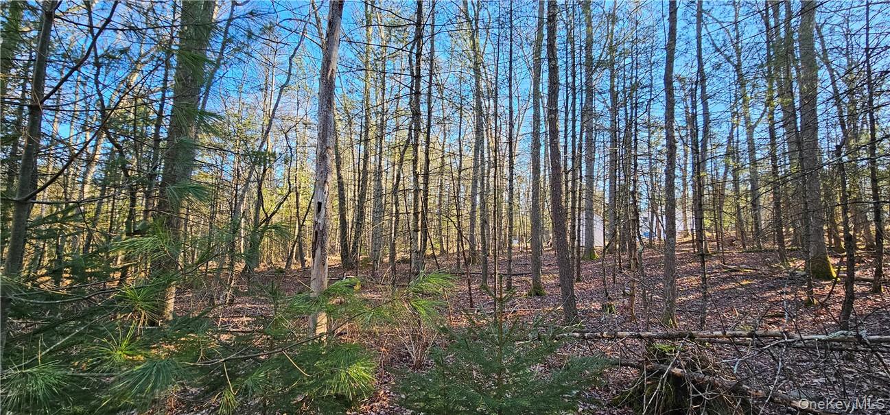 Lot 57.1 Yulan-barryville Road Property Photo 7