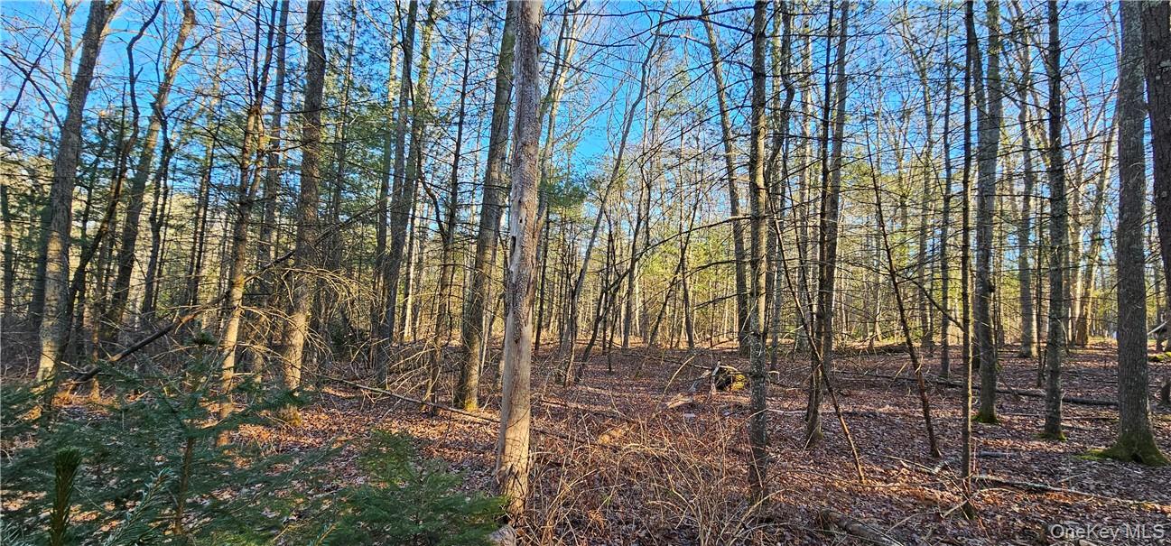 Lot 57.1 Yulan-barryville Road Property Photo 8
