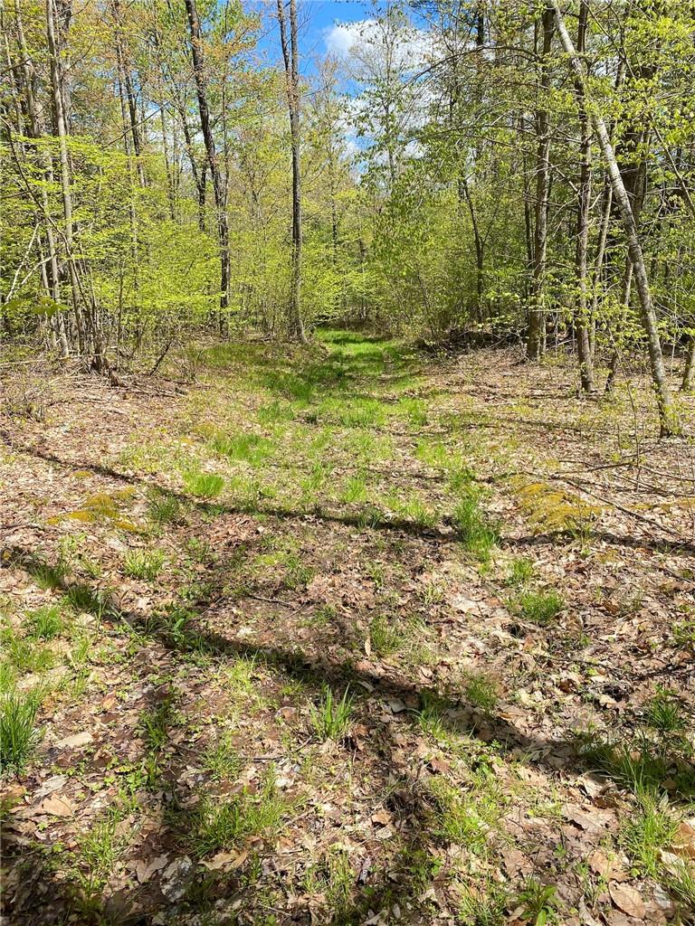 Wadsworth Hill Road Property Photo 11