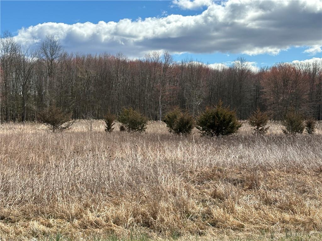 Drexel Drive Property Photo 5