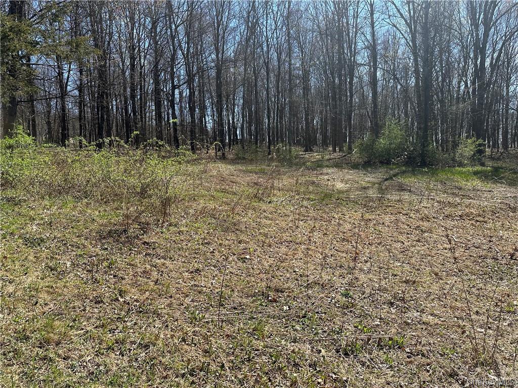 Cronk Road Property Photo 4