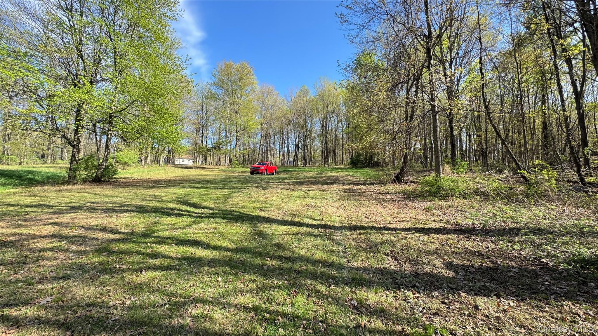 Cronk Road Property Photo 12