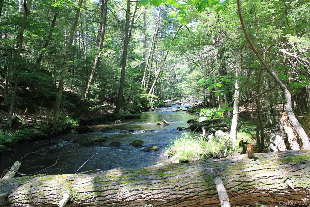 Rolling Meadow Lane Property Photo 3