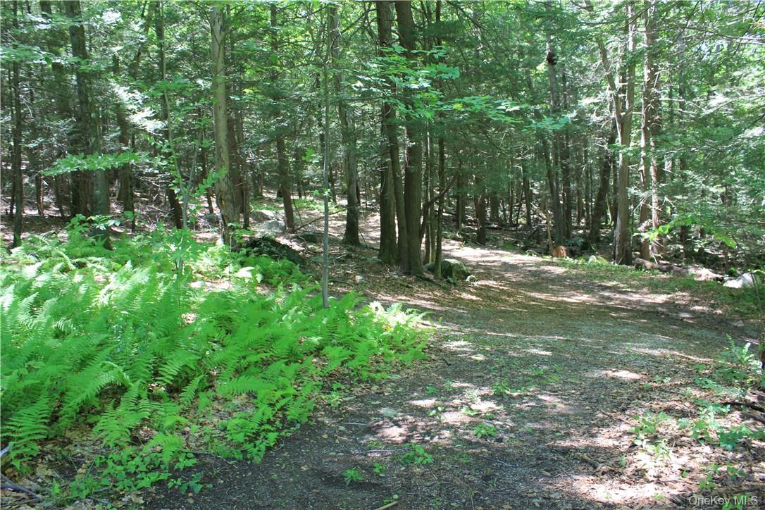 Rolling Meadow Lane Property Photo 4