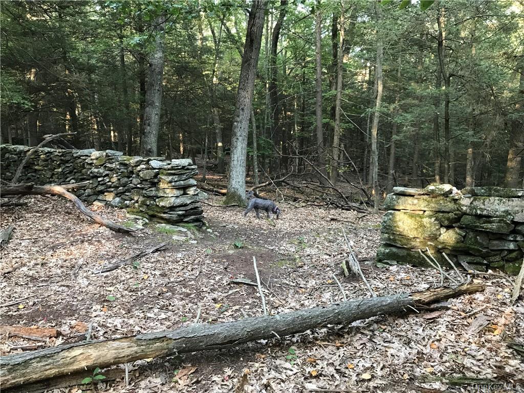 Rolling Meadow Lane Property Photo 9
