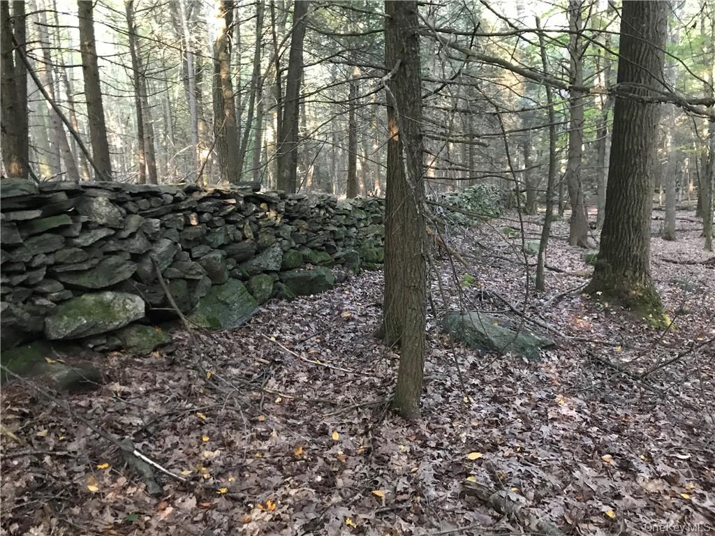 Rolling Meadow Lane Property Photo 10