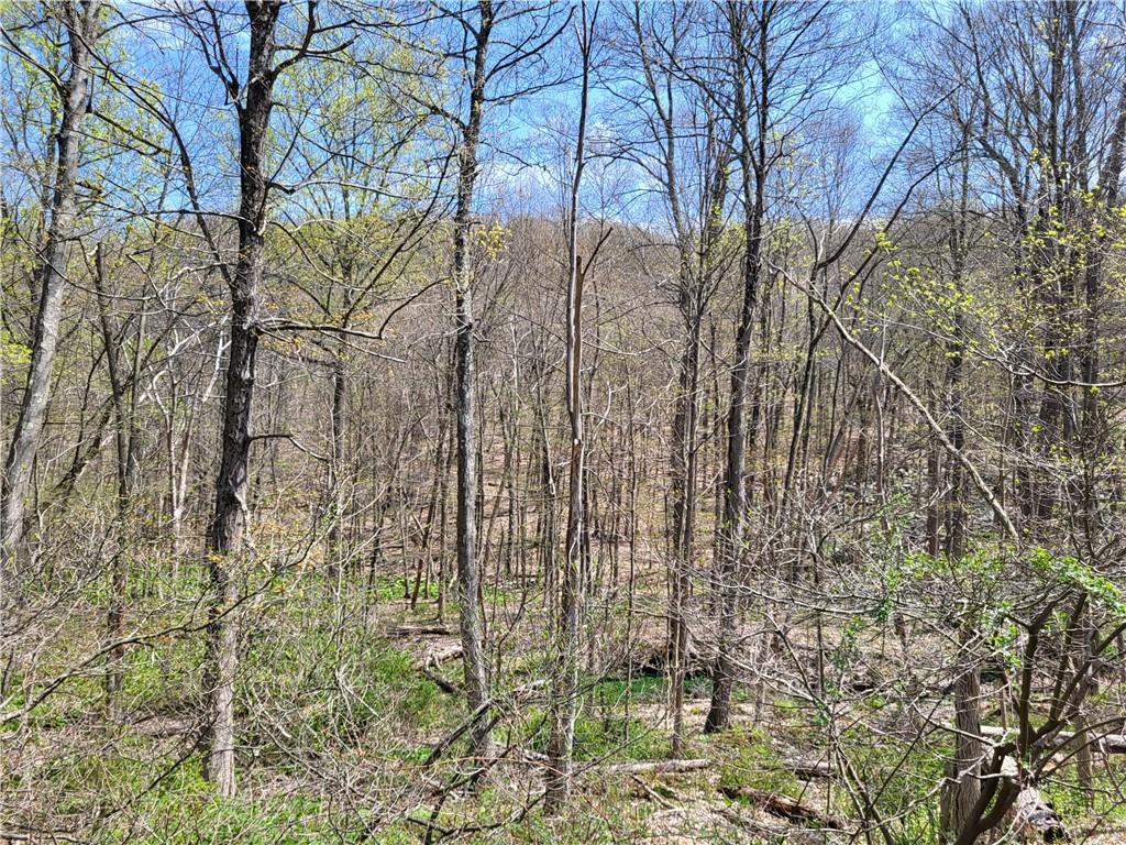 Eder Road Property Photo