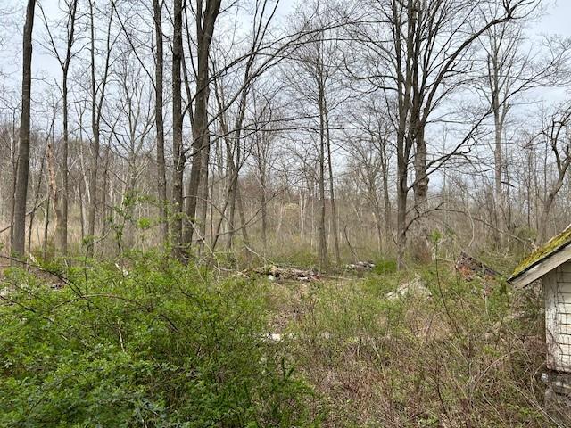 149 Dixon Road Property Photo 3