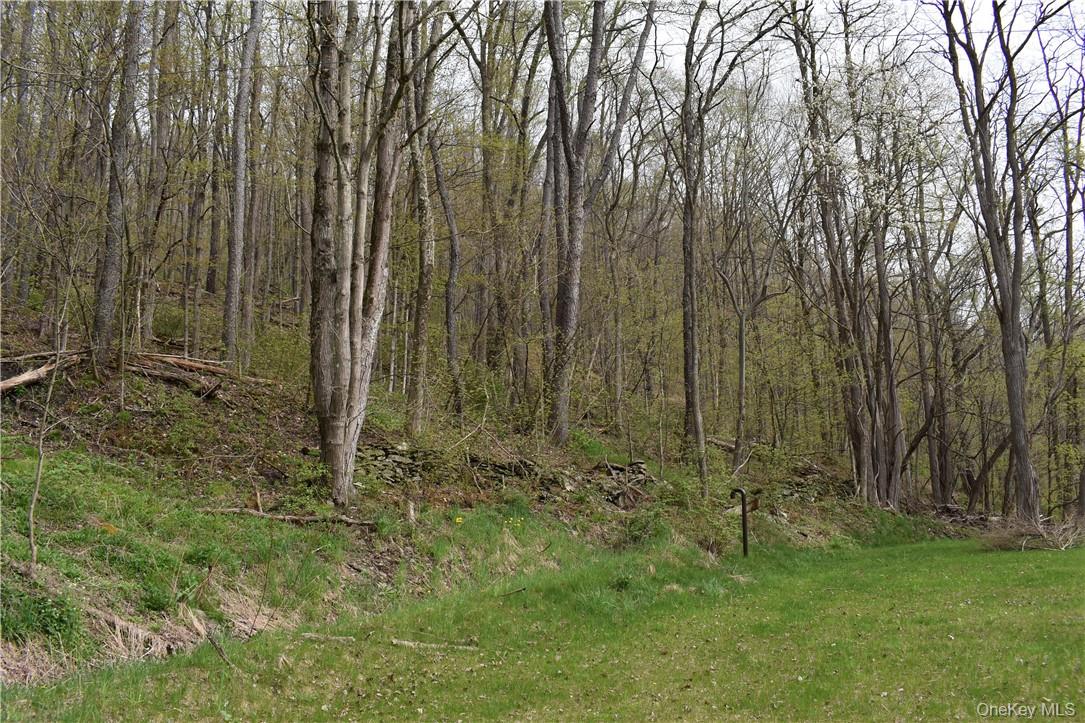 29735 State Highway 10 Property Photo 9