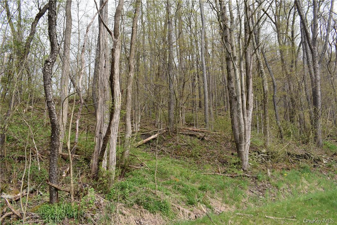 29735 State Highway 10 Property Photo 10